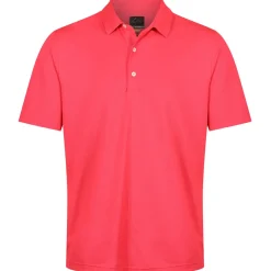 New Men's Neck Logo Stretch Golf Polo Shirt Men's Polo Shirts|Season Ready Collection